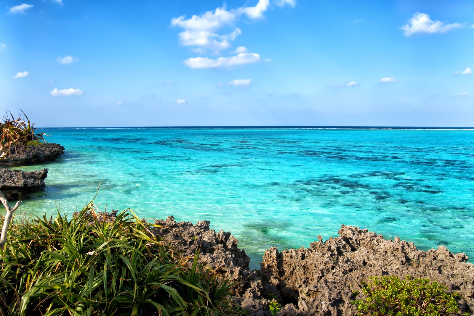 沖縄サンゴのミネラル水 海人ぬ宝 であなたの健康維持をサポート 海人ぬ宝 うみんちゅのたから 宮城 大崎市のウォーターサーバー